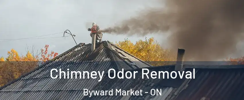  Chimney Odor Removal Byward Market - ON