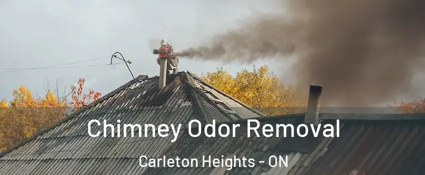  Chimney Odor Removal Carleton Heights - ON