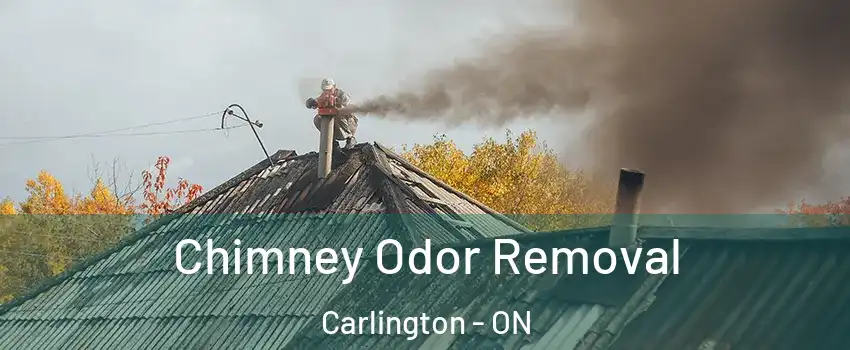  Chimney Odor Removal Carlington - ON