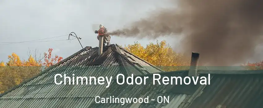  Chimney Odor Removal Carlingwood - ON