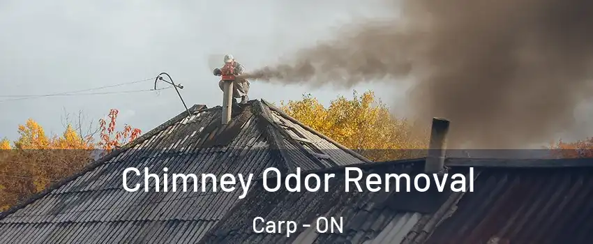  Chimney Odor Removal Carp - ON