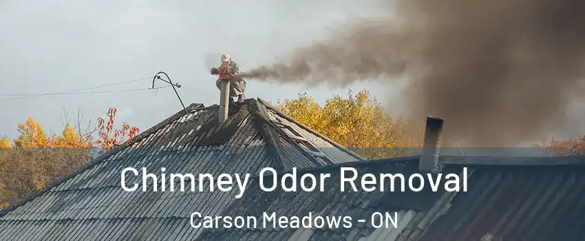  Chimney Odor Removal Carson Meadows - ON