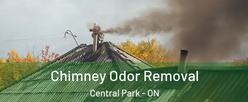  Chimney Odor Removal Central Park - ON