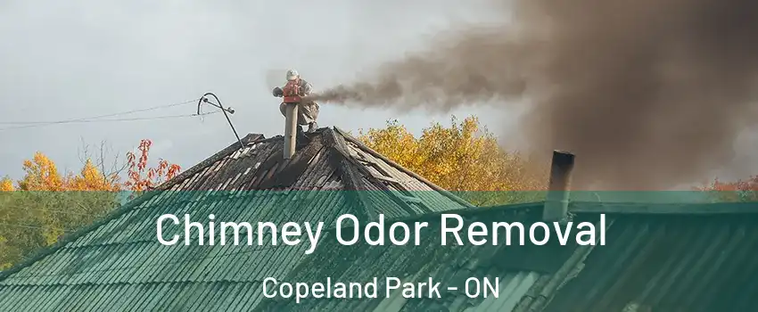  Chimney Odor Removal Copeland Park - ON