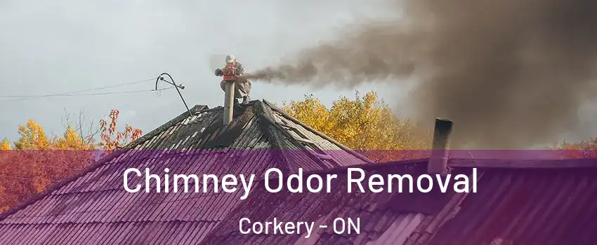  Chimney Odor Removal Corkery - ON