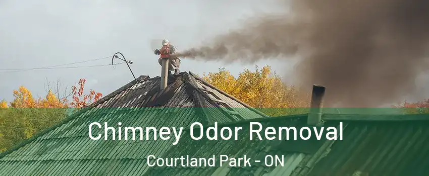  Chimney Odor Removal Courtland Park - ON