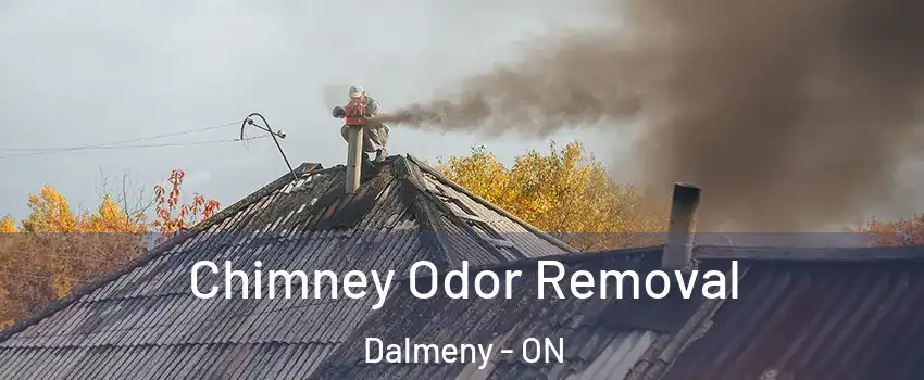  Chimney Odor Removal Dalmeny - ON