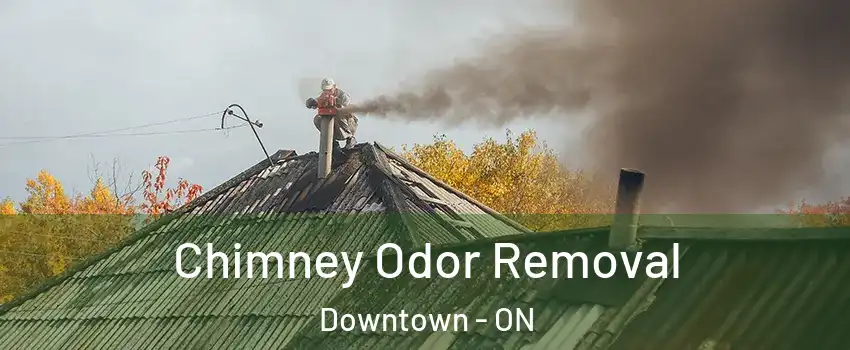  Chimney Odor Removal Downtown - ON