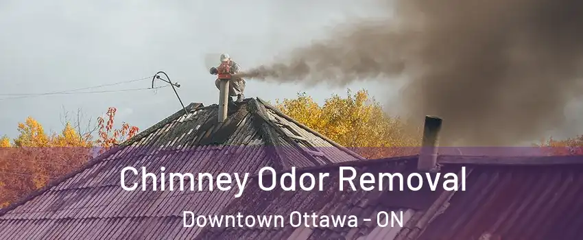  Chimney Odor Removal Downtown Ottawa - ON