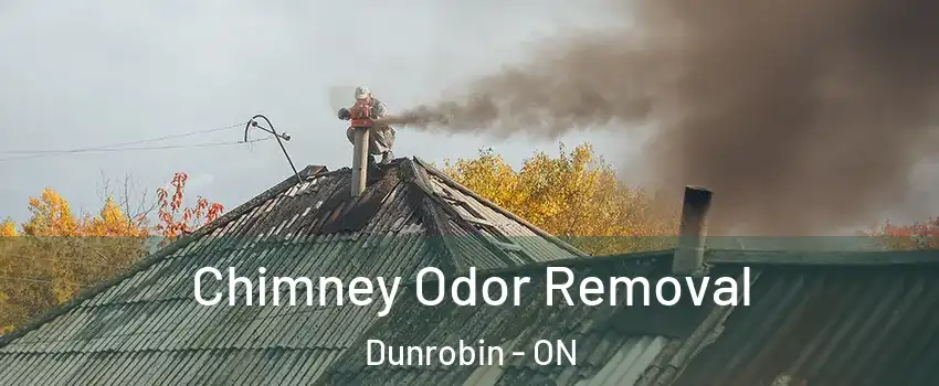  Chimney Odor Removal Dunrobin - ON