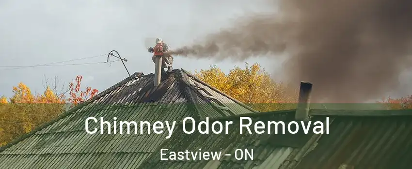  Chimney Odor Removal Eastview - ON