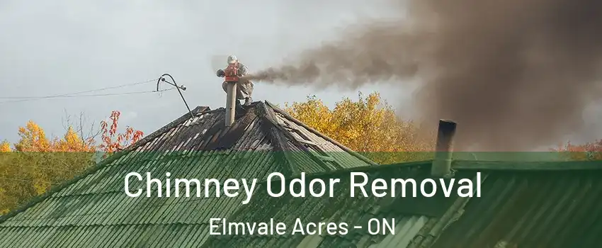  Chimney Odor Removal Elmvale Acres - ON