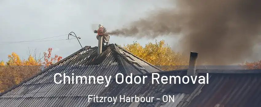  Chimney Odor Removal Fitzroy Harbour - ON