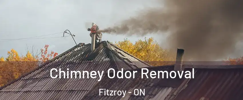  Chimney Odor Removal Fitzroy - ON