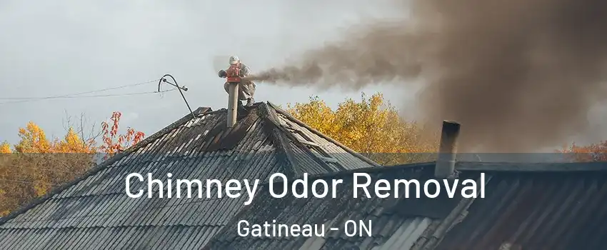  Chimney Odor Removal Gatineau - ON