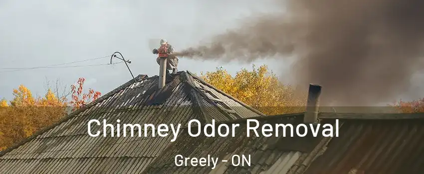  Chimney Odor Removal Greely - ON