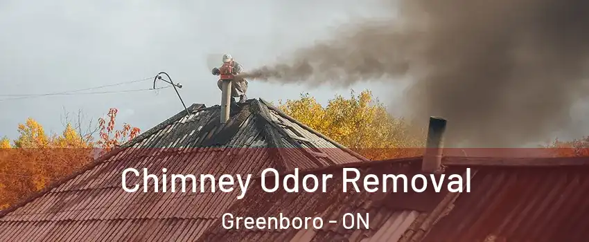  Chimney Odor Removal Greenboro - ON