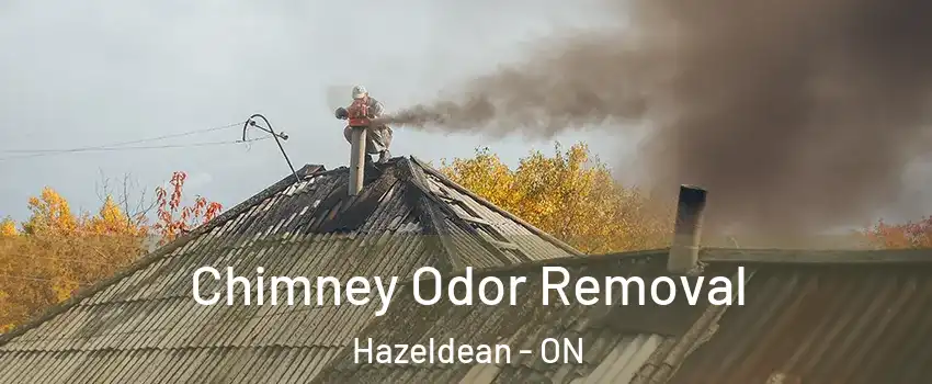  Chimney Odor Removal Hazeldean - ON