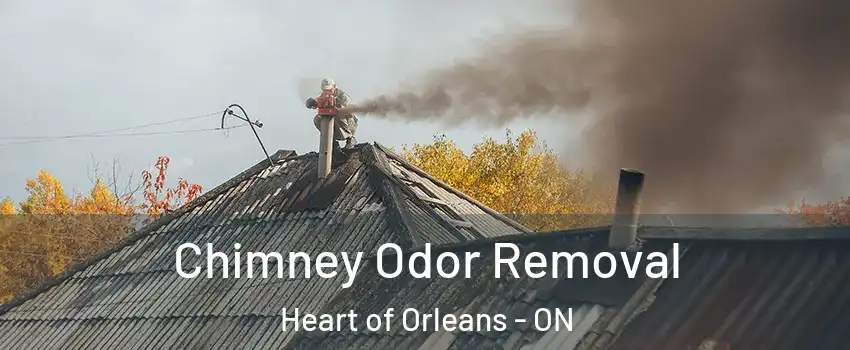  Chimney Odor Removal Heart of Orleans - ON