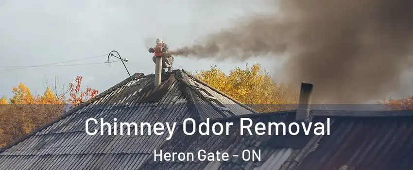  Chimney Odor Removal Heron Gate - ON