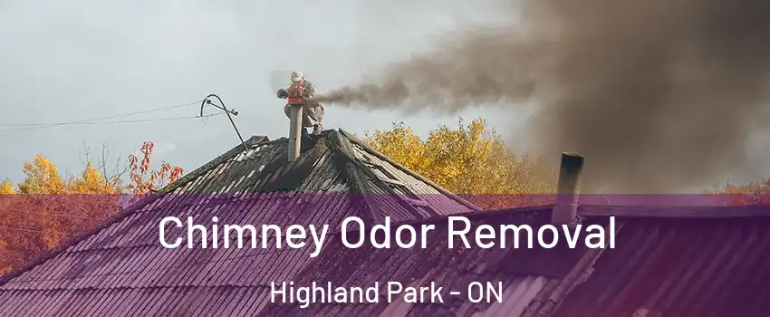  Chimney Odor Removal Highland Park - ON