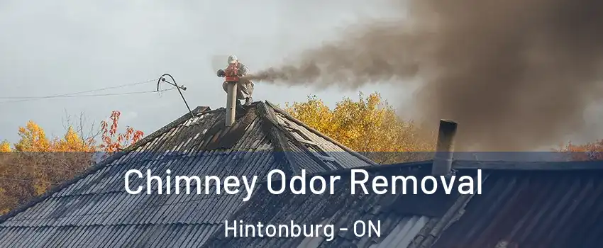  Chimney Odor Removal Hintonburg - ON