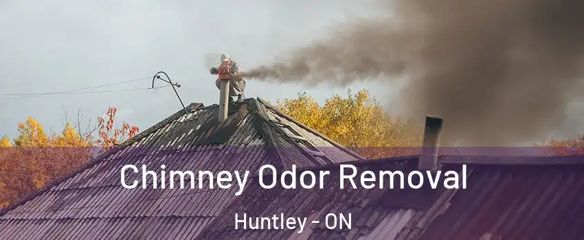  Chimney Odor Removal Huntley - ON