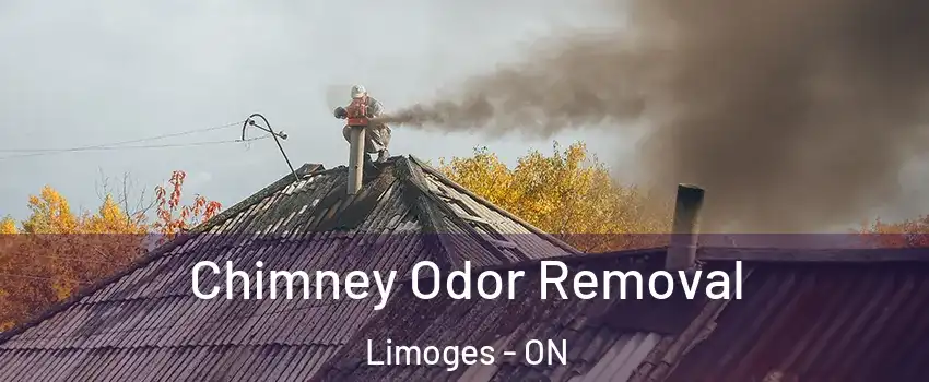  Chimney Odor Removal Limoges - ON