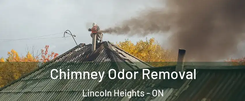  Chimney Odor Removal Lincoln Heights - ON