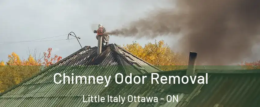  Chimney Odor Removal Little Italy Ottawa - ON