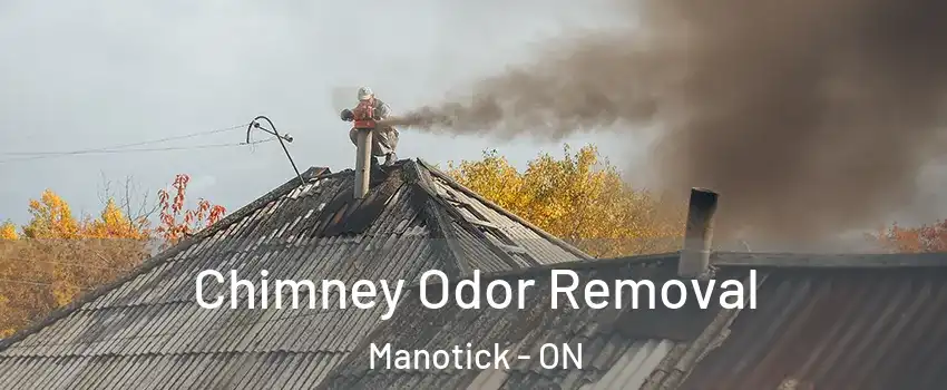  Chimney Odor Removal Manotick - ON