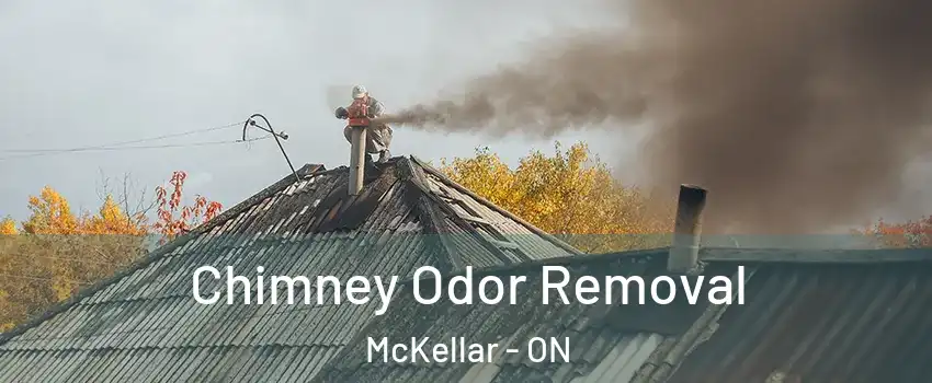  Chimney Odor Removal McKellar - ON