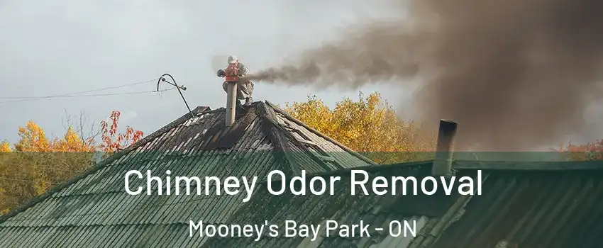  Chimney Odor Removal Mooney's Bay Park - ON