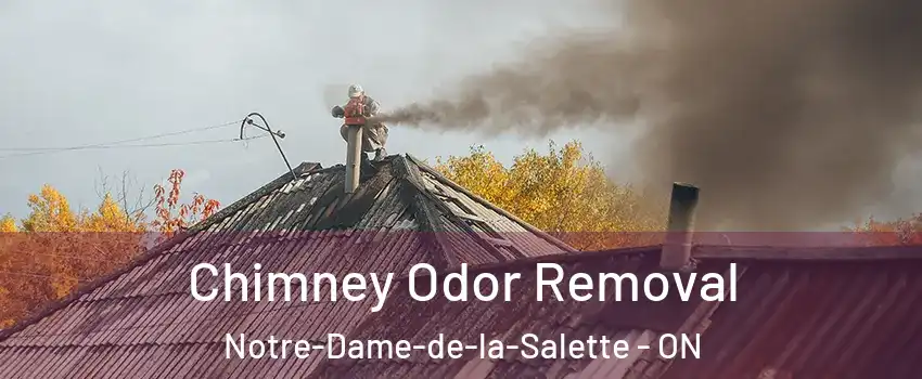  Chimney Odor Removal Notre-Dame-de-la-Salette - ON