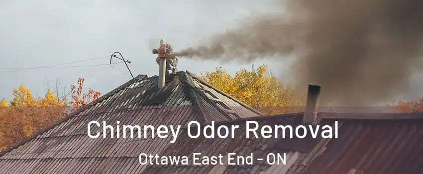  Chimney Odor Removal Ottawa East End - ON