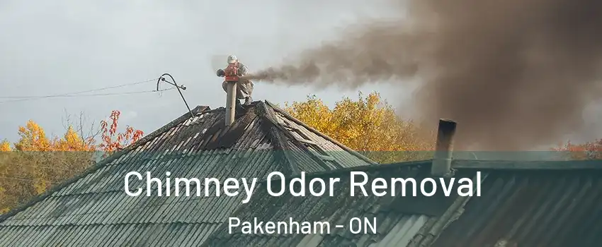  Chimney Odor Removal Pakenham - ON