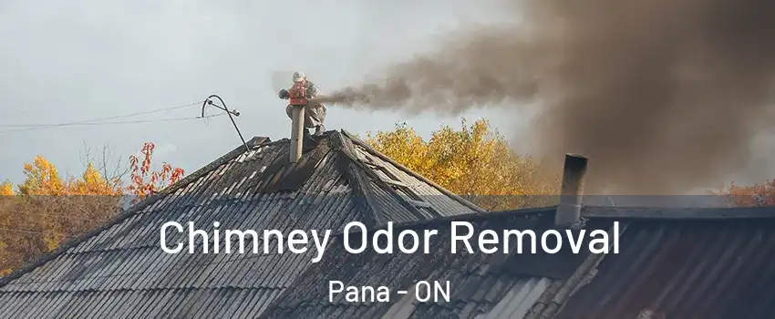  Chimney Odor Removal Pana - ON