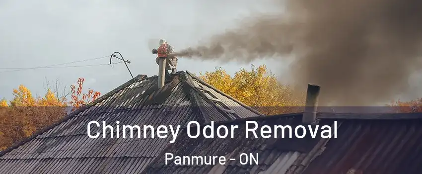  Chimney Odor Removal Panmure - ON