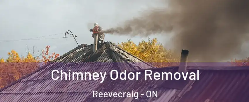  Chimney Odor Removal Reevecraig - ON