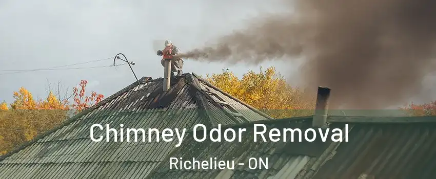  Chimney Odor Removal Richelieu - ON