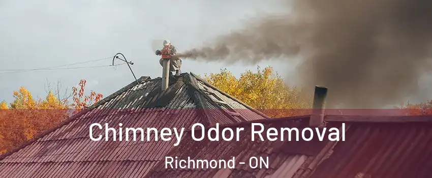  Chimney Odor Removal Richmond - ON