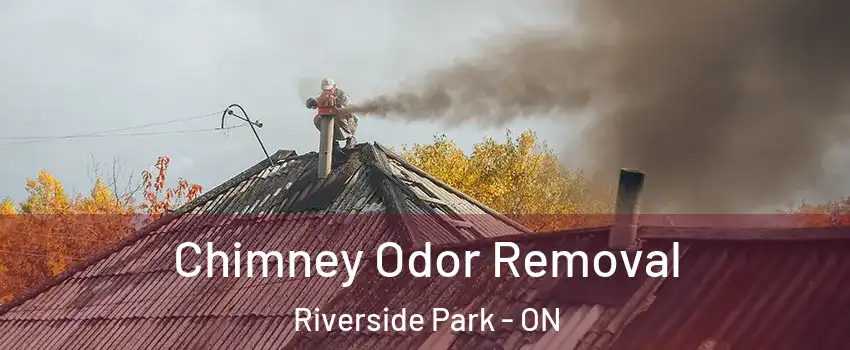  Chimney Odor Removal Riverside Park - ON