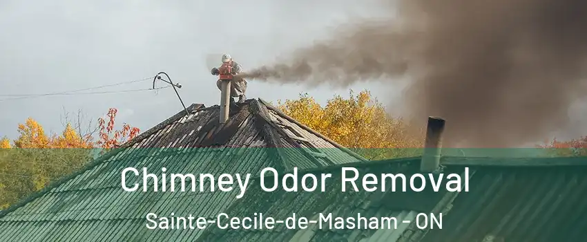  Chimney Odor Removal Sainte-Cecile-de-Masham - ON