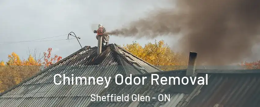  Chimney Odor Removal Sheffield Glen - ON