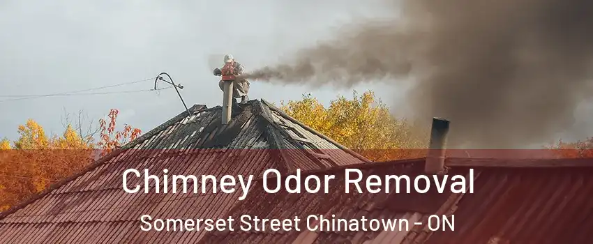  Chimney Odor Removal Somerset Street Chinatown - ON