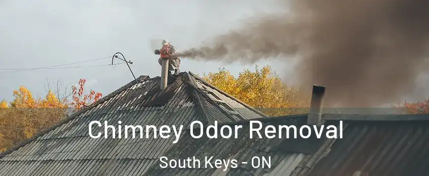  Chimney Odor Removal South Keys - ON