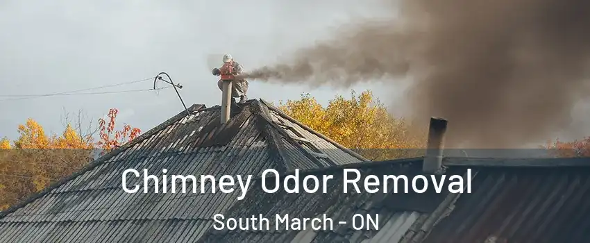  Chimney Odor Removal South March - ON