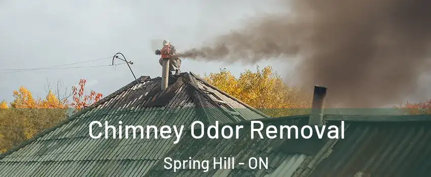  Chimney Odor Removal Spring Hill - ON