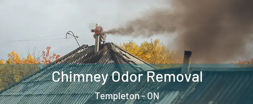  Chimney Odor Removal Templeton - ON