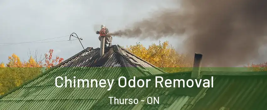  Chimney Odor Removal Thurso - ON